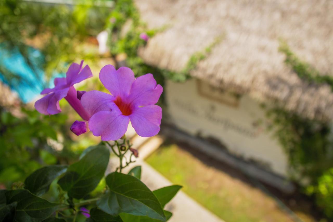 Hotel Villas Mariposas Atlixco Exterior foto
